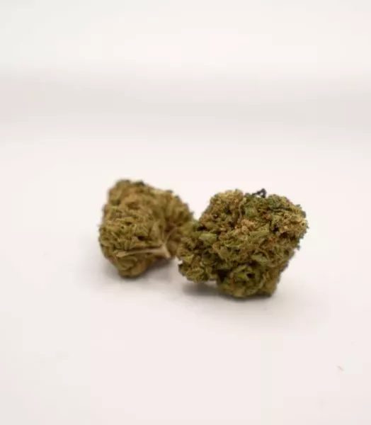 Cannatonic Indoor