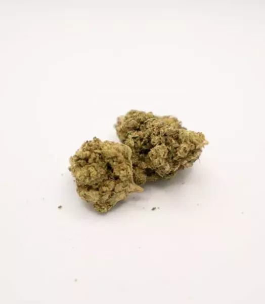 Bubble G.Indoor