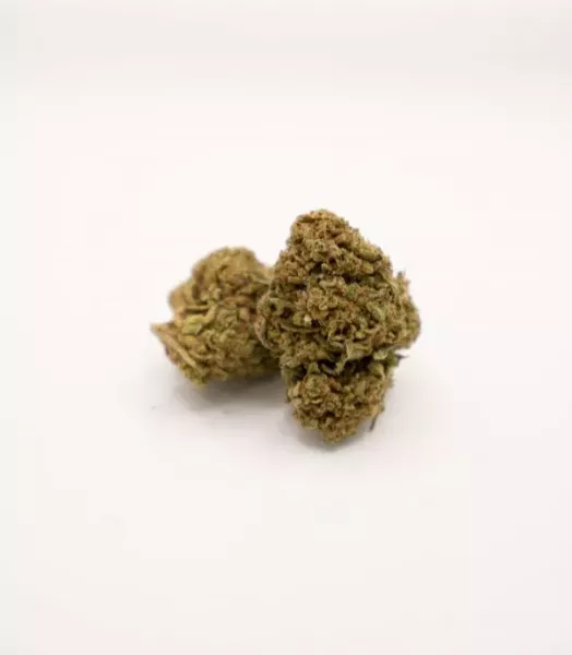 Mango Haze Indoor